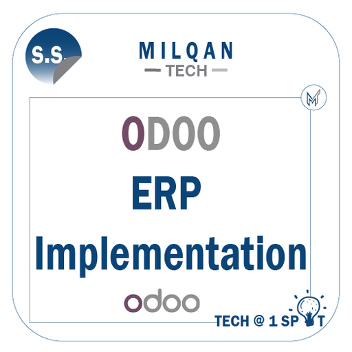 ERP Implementation